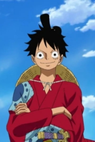 One Piece: Infection Prevention Message from the Straw Hat Pirates